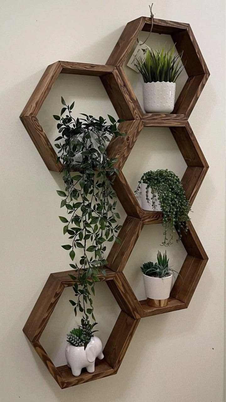 Honeycomb Hexagon Shelf